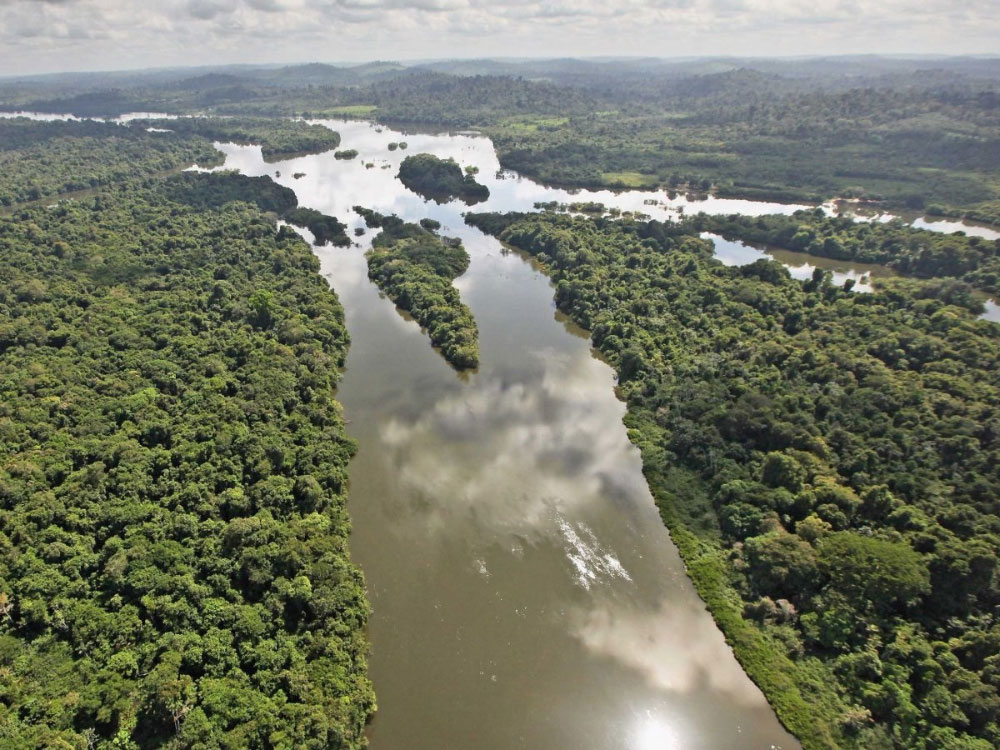 Леса Амазонии Бразилия
